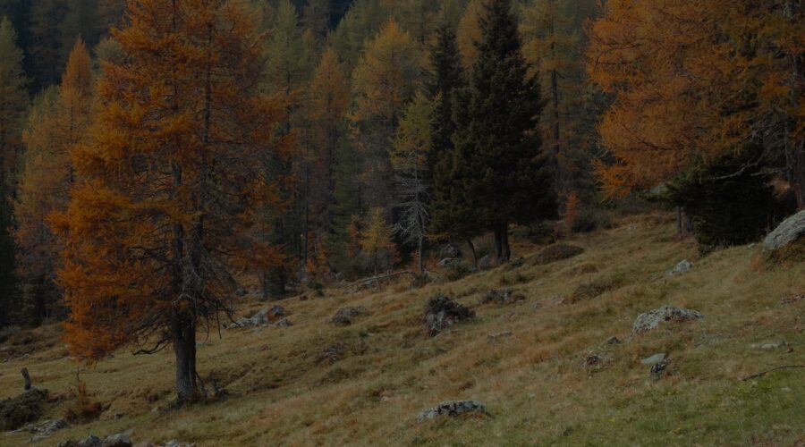 Les voitures autonomes : Quand pourrons-nous vraiment les conduire ?